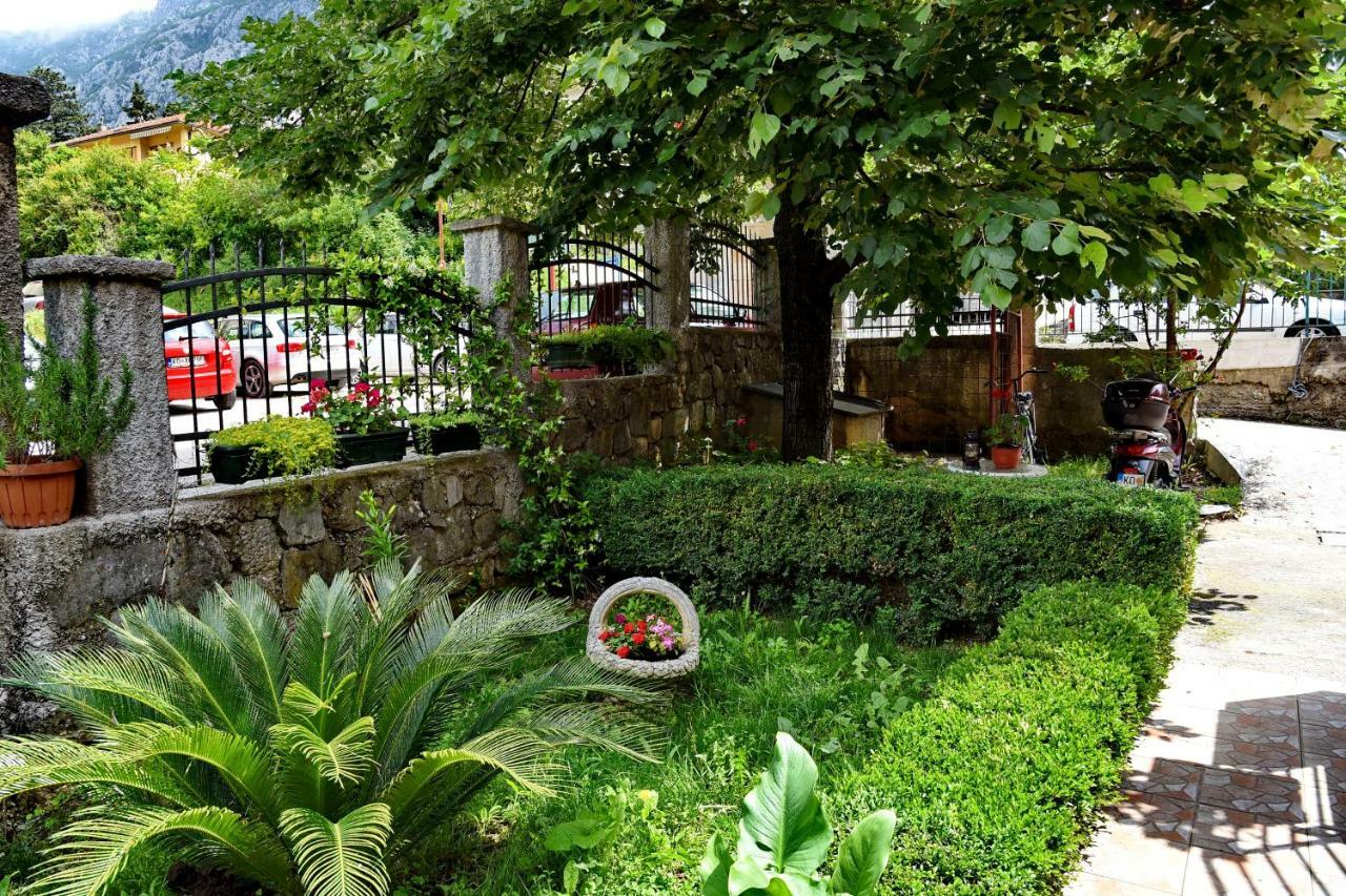 Apartments Martiva Kotor Exterior photo